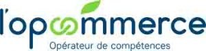 Logo logo-opcommerce-300x74