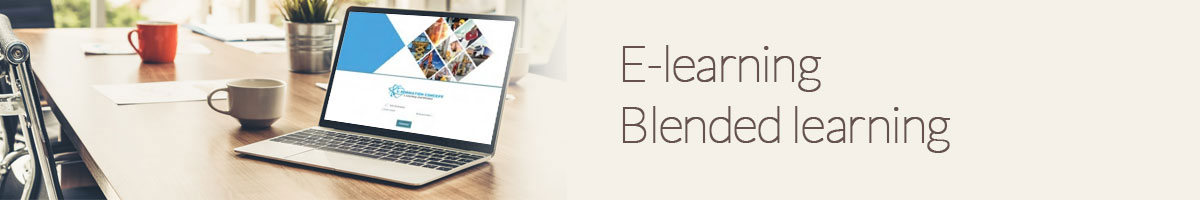 e-learning-blended